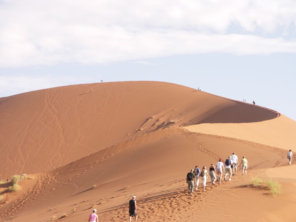 namib desert